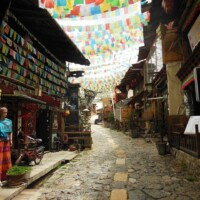 Chinese Market Chinese Market ALT